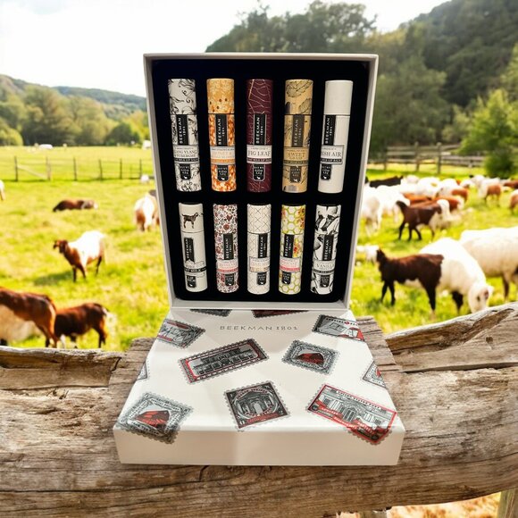 Beekman 1802 Other - Beekman 1802 Set of 10 Assorted Flavors of Lip Balms